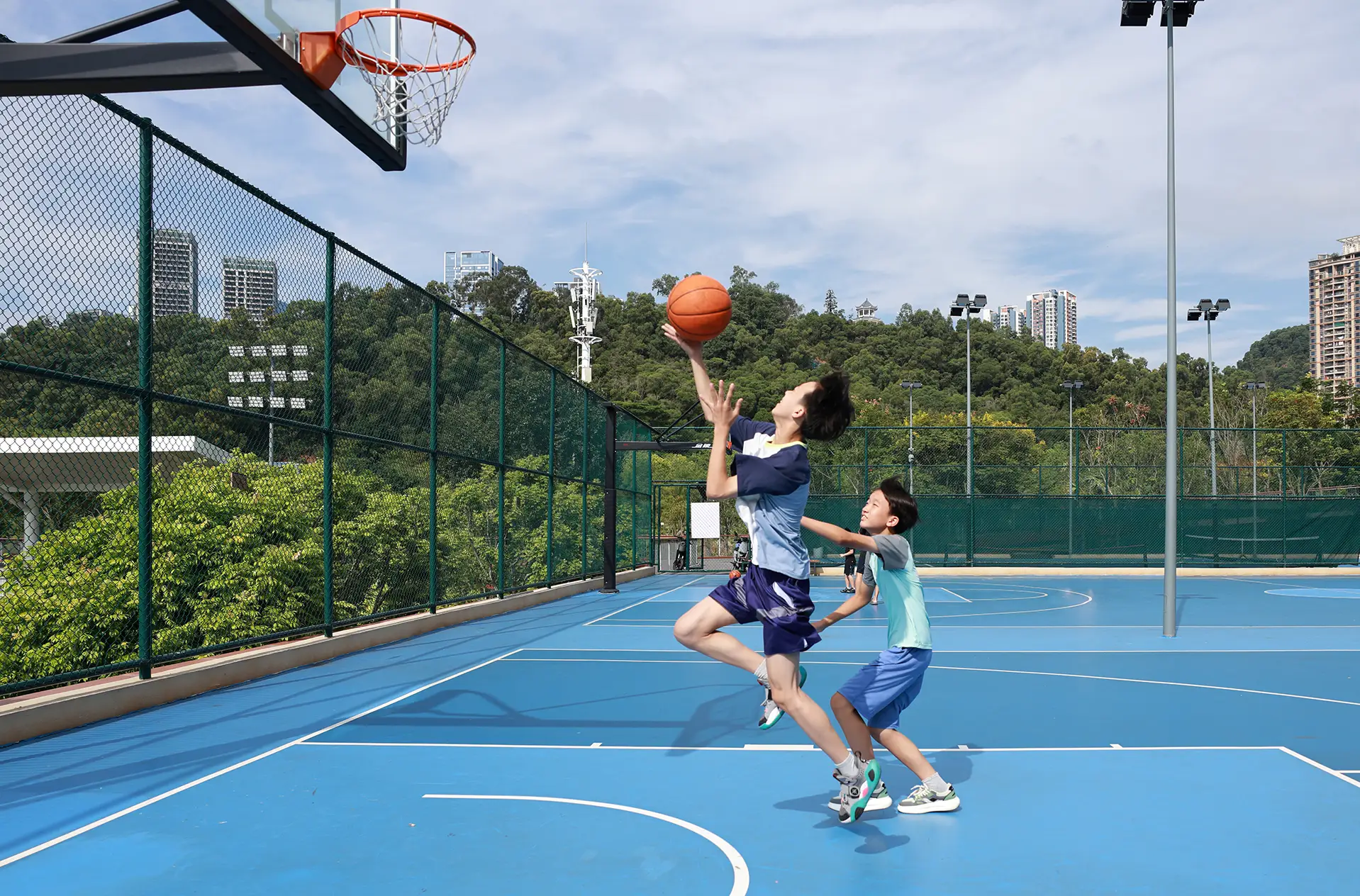 Driveway basketball half-court